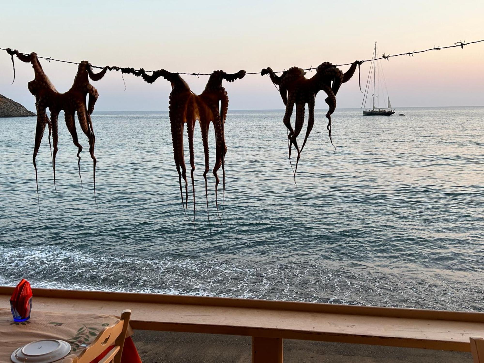 Ocean View Studios And Luxury Rooms Plomari Exteriér fotografie